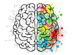 Whole Brain Thinking - Ann Marie Walts